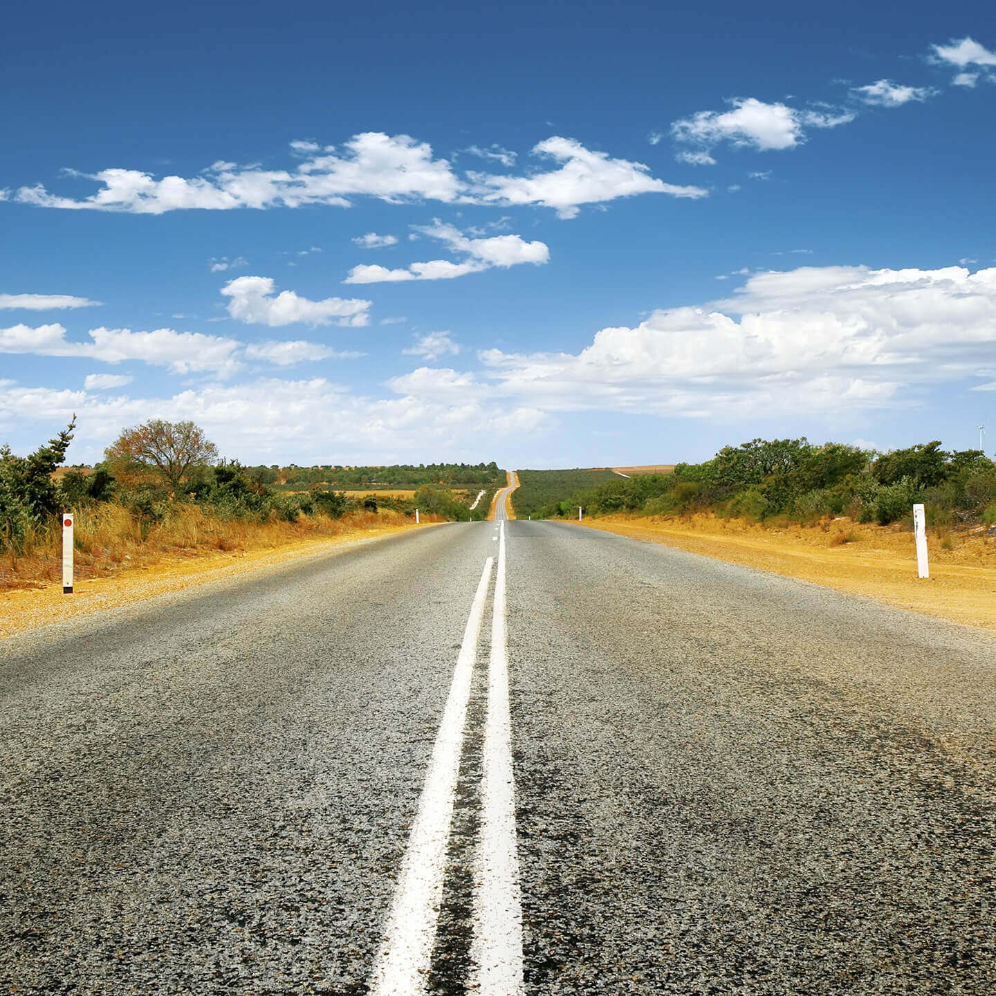 Dynamic background image